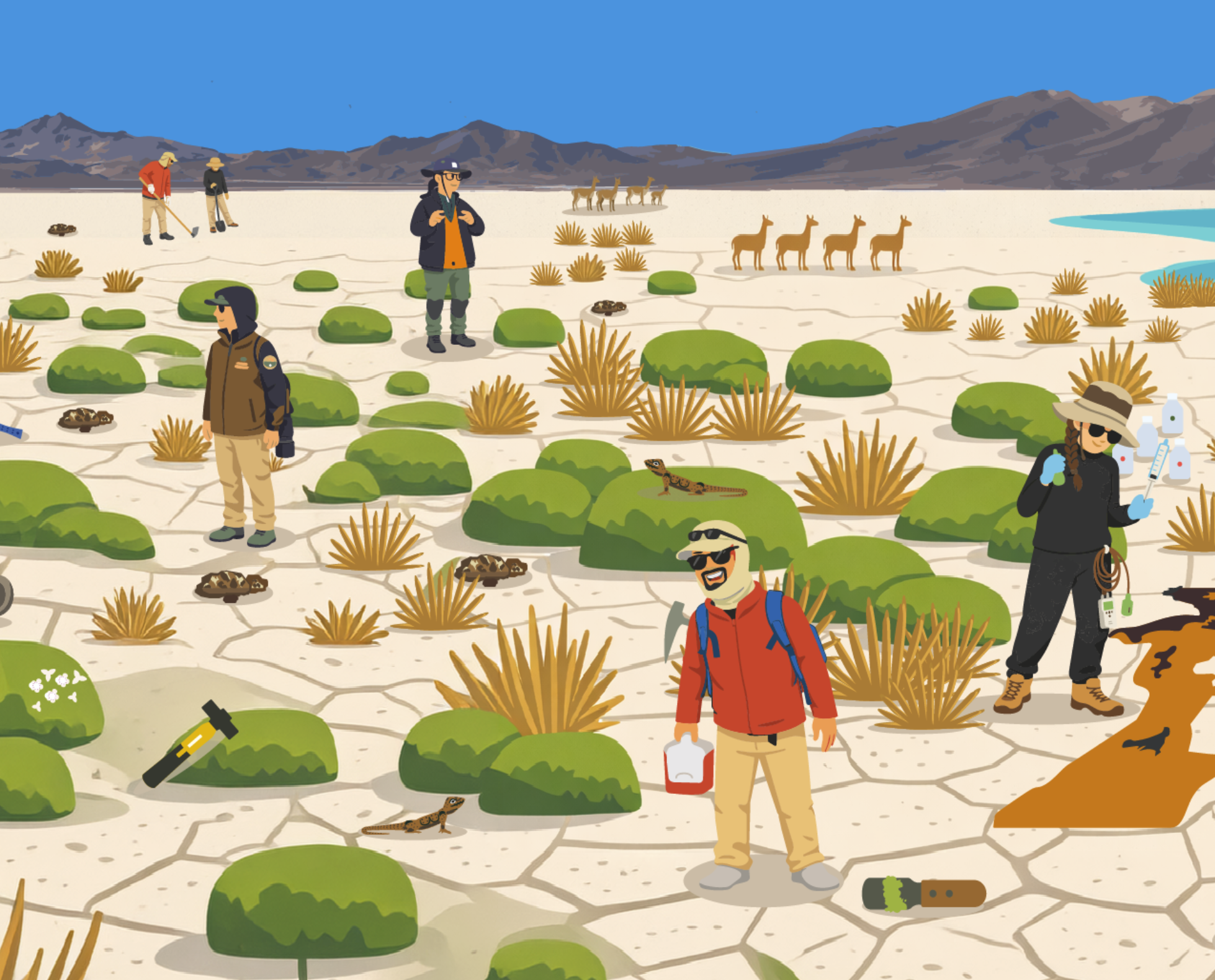 Buscadores del Salar