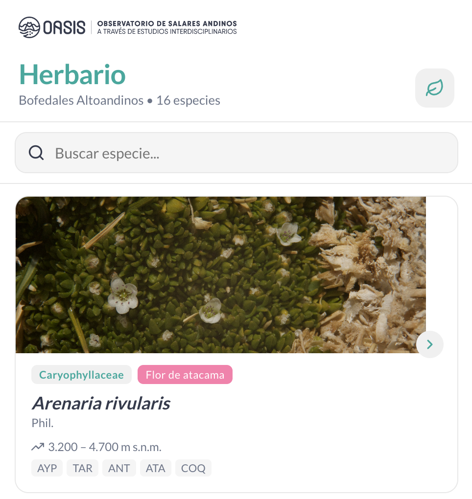 Herbario Digital