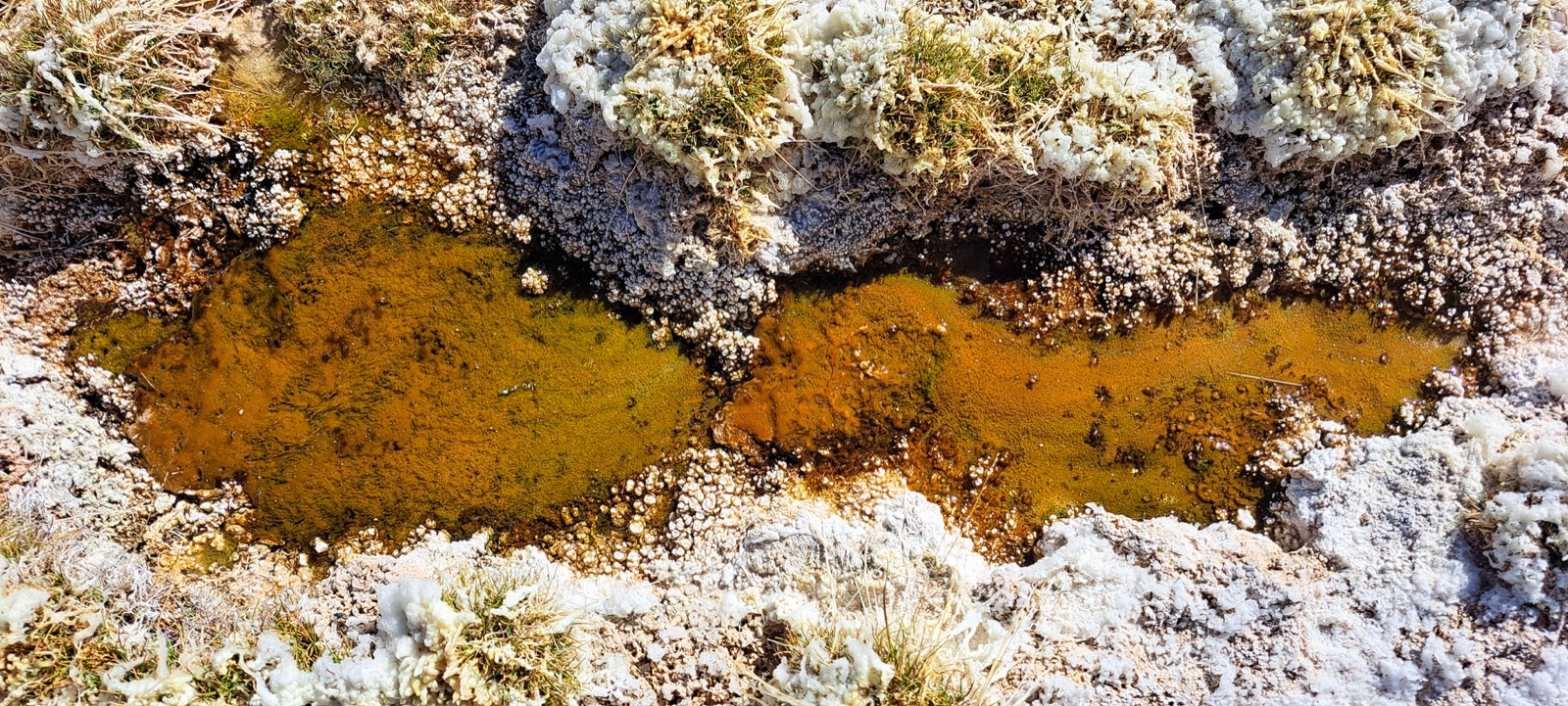 Composición Laguna Verde