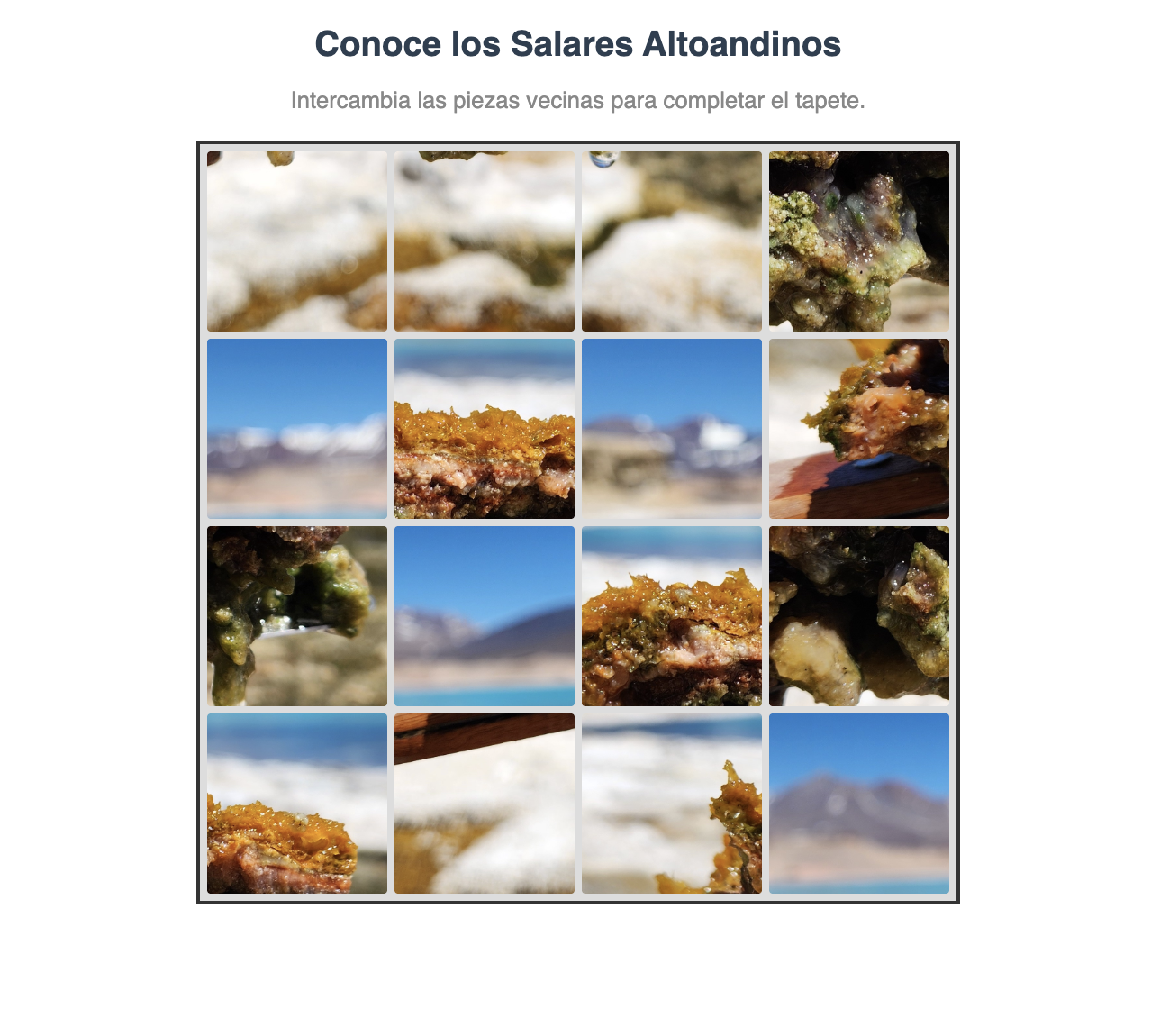 Puzzle de Tapetes